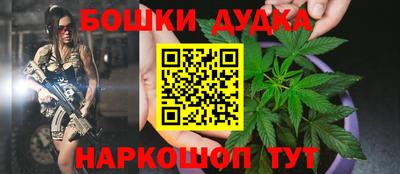 ГАЛЛЮЦИНОГЕННЫЕ ГРИБЫ Славгород