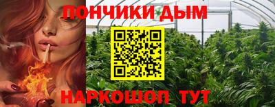 ГАЛЛЮЦИНОГЕННЫЕ ГРИБЫ Славгород