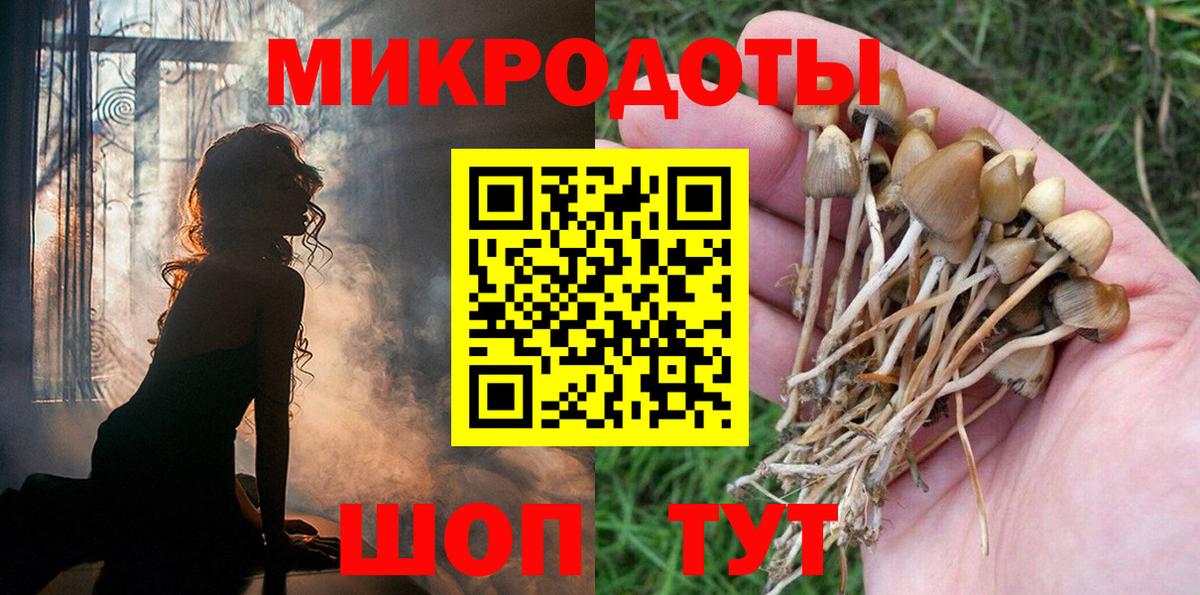 Псилоцибиновые грибы MAGIC MUSHROOMS  Вход с VPN  хочу наркоту  Ржев 