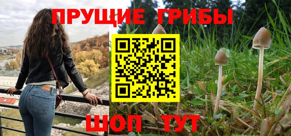 Псилоцибиновые грибы Magic Shrooms Ржев